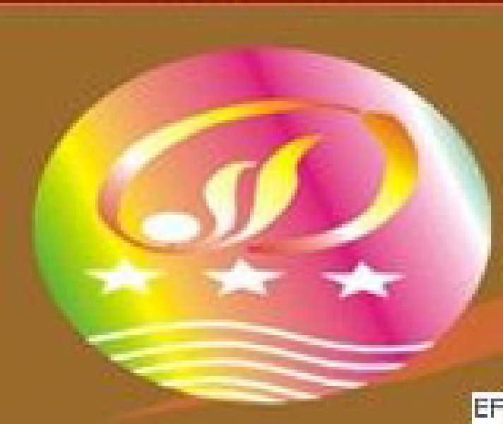 2008第三屆山西國(guó)際城市照明LED霓虹燈展