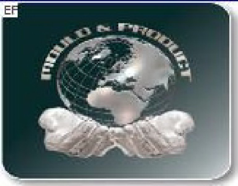 2009中國(深圳)國際模具及制品工業(yè)展覽會(S.Mould2009)