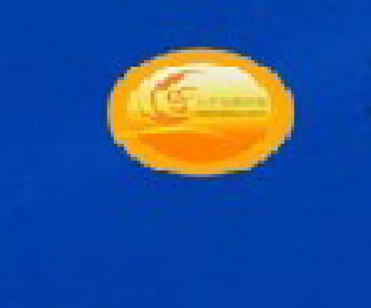 2010第八屆中國青島特許連鎖加盟展覽會暨2010中國特許加盟展