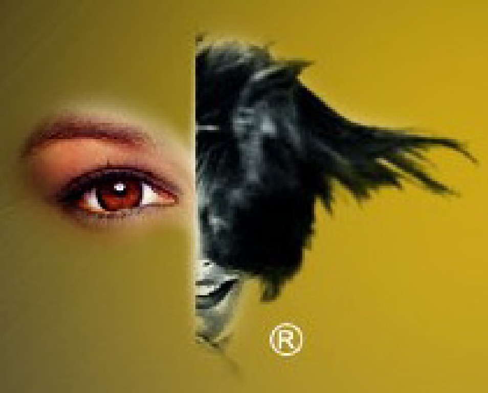 2012第十七屆中國(guó)美容博覽會(huì)(上海CBE)